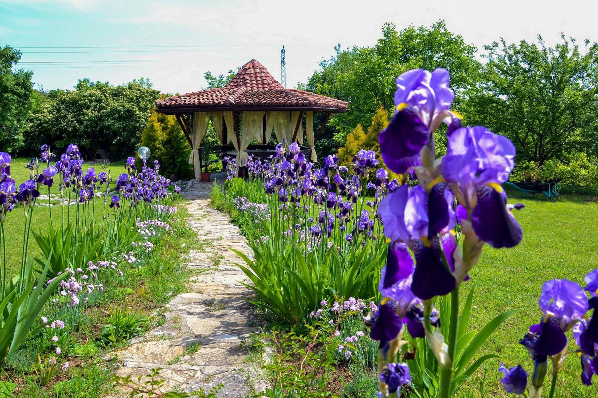 Park Hotel Djevana Gorna Orjahovica Extérieur photo